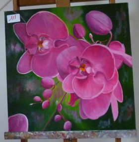 Pink Orchids
